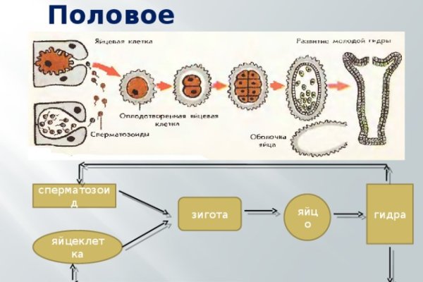 Кракен что можно купить