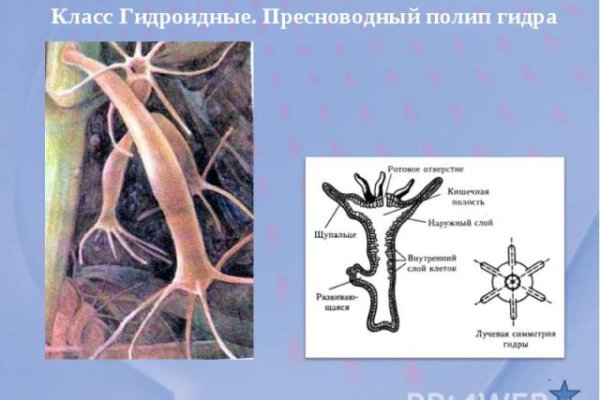 Кракен без тор