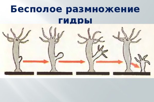 Кракен маркет даркнет тор