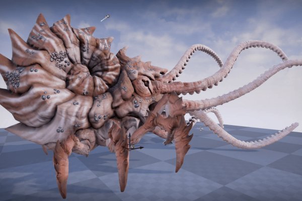 Kraken 13 at com
