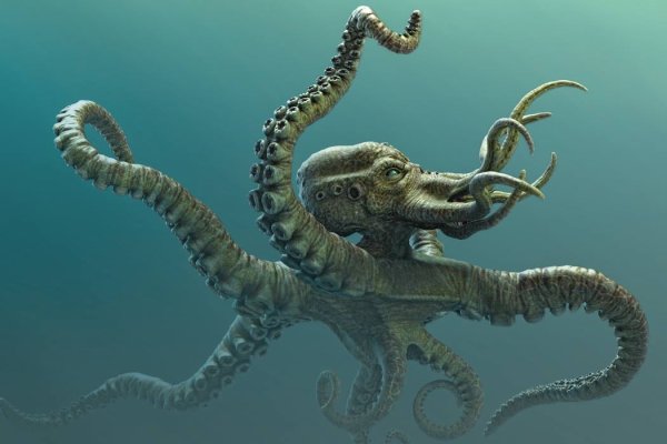 Кракен тор krakens13 at