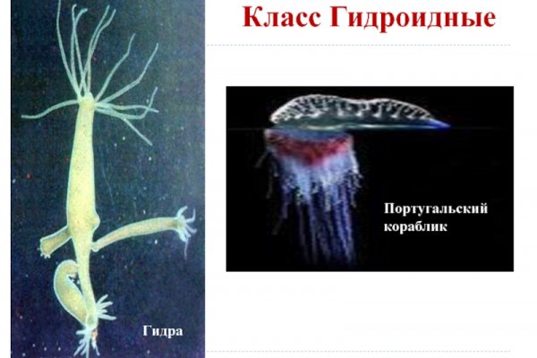 Ссылки зеркала на kraken