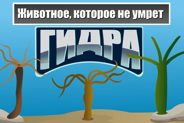 Mega market ссылка