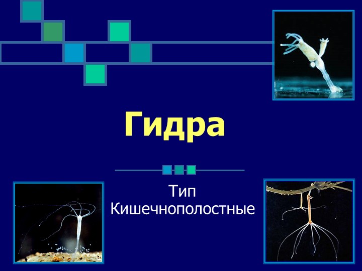 Kraken зеркало kraken dark link