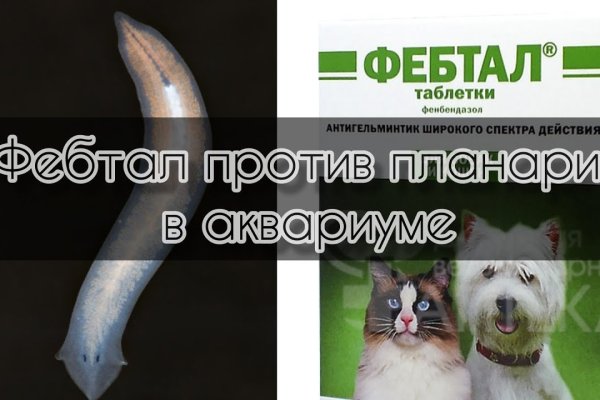 Магазин кракен дарк
