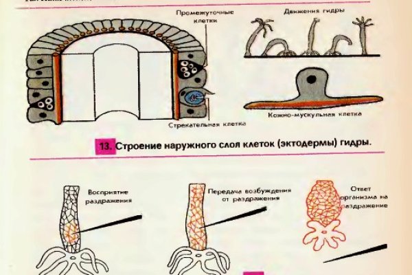 Даркнет зеркало