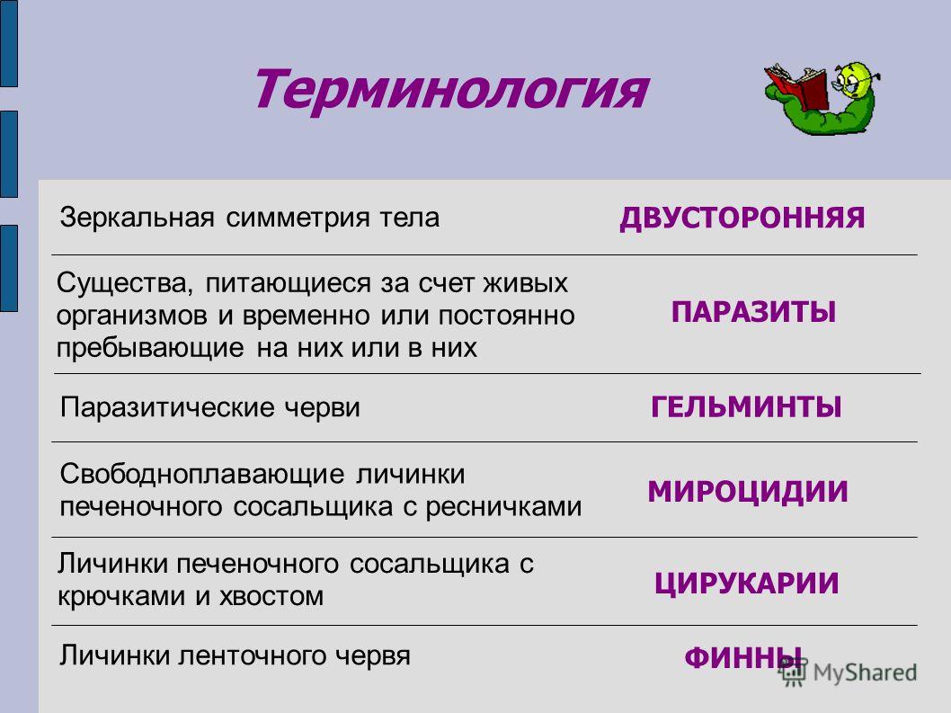 Ссылка кракен vk2 top